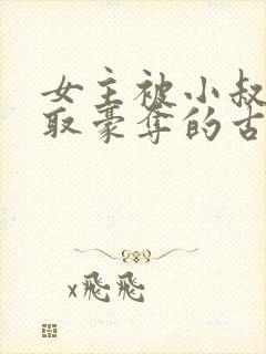 女主被小叔子强取豪夺的古言