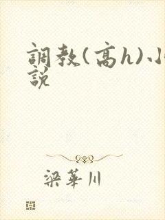 调教(高h)小说