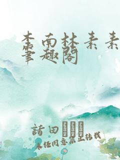 李南林素素小说笔趣阁