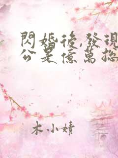 闪婚后,发现老公是亿万总裁 小说