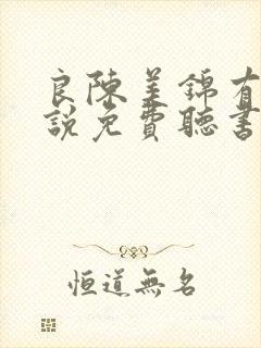 良陈美锦有声小说免费听书