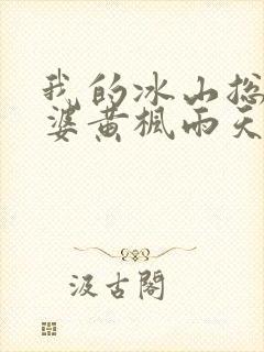 我的冰山总裁老婆黄枫雨天
