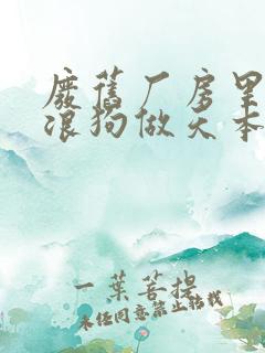 废旧厂房里和流浪狗做天本