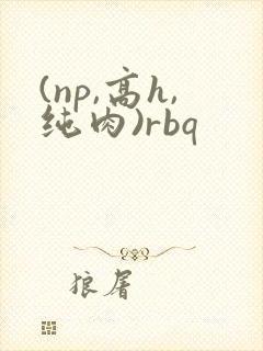 (np,高h,纯肉)rbq