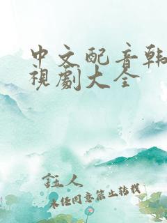 中文配音韩剧电视剧大全