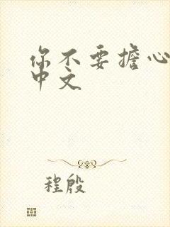 你不要担心歌词中文