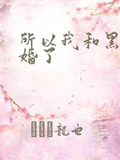所以我和黑粉结婚了