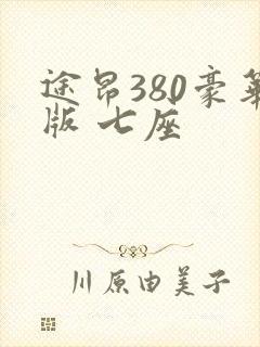 途昂380豪华版 七座