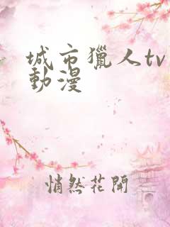 城市猎人tv版动漫