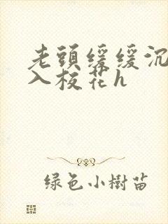 老头缓缓沉腰进入校花h