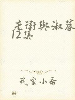 老卫与淑蓉1一12集