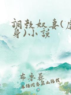 调教奴妻(虐女身)小说