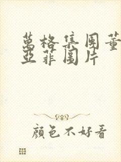 万格集团董事李亚菲图片