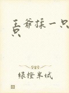 王爷揉一只舔一只