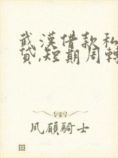 武汉借款私人借贷,短期周转