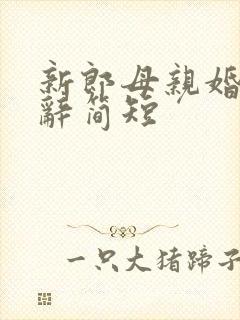 新郎母亲婚礼致辞简短