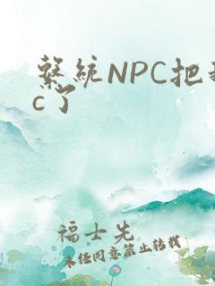 系统NPC把我c了