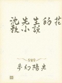 沈先生的花式调教小说