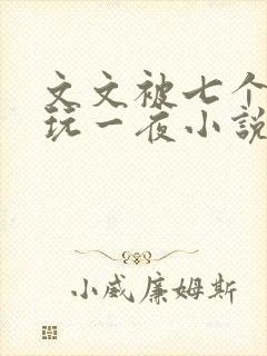 文文被七个男人玩一夜小说