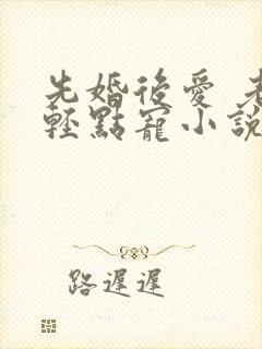 先婚后爱 老公轻点宠小说