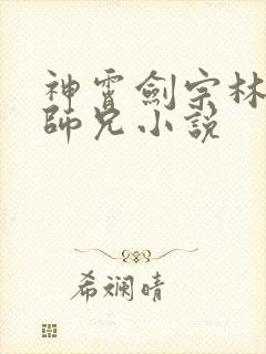 神霄剑宗林枫大师兄小说