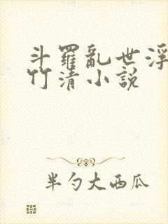 斗罗乱世浮殇朱竹清小说