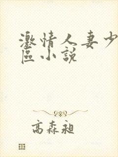 激情人妻少妇一区小说