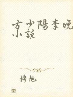 方少阳李晚晴的小说