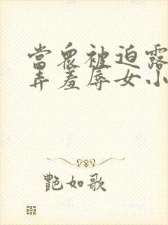 当众被迫露出玩弄羞辱女小说