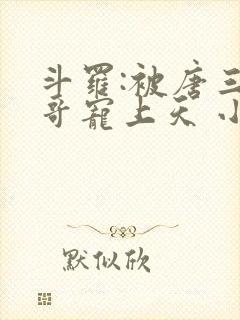 斗罗:被唐三哥哥宠上天 小说完整