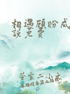 相遇顾盼成欢小说免费