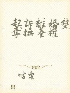 起诉离婚双方争夺抚养权