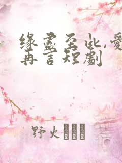 缘尽至此,爱不再言短剧