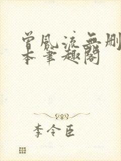 曾风流无删减全本笔趣阁