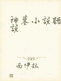 神墓小说听书小说