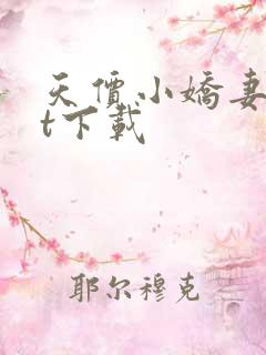 天价小娇妻txt下载