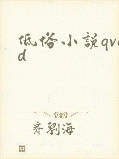 低俗小说qvod