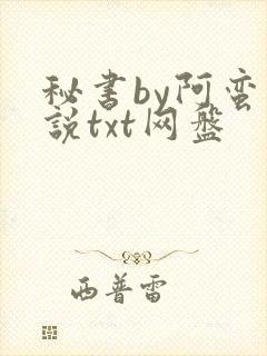 秘书by阿蛮小说txt网盘