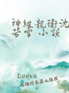 神级龙卫沈浪苏若雪 小说