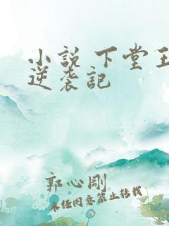 小说 下堂王妃逆袭记