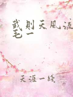 武则天风流艳情毛一