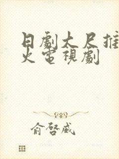 日剧大尺推荐最火电视剧