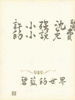 许小强 沈丽娟的小说免费阅读