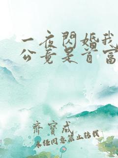 一夜闪婚我的老公竟是首富