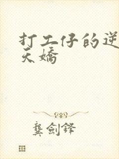 打工仔的逆袭楚天娇