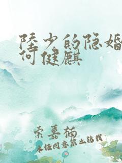 陆少的隐婚罪妻何健麒