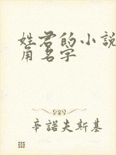 姓君的小说男主角名字