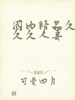 国内精品久久久久久人妻