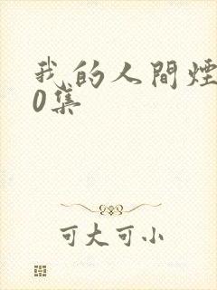 我的人间烟火40集