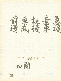 前车故意急刹车造成后车追尾谁责任